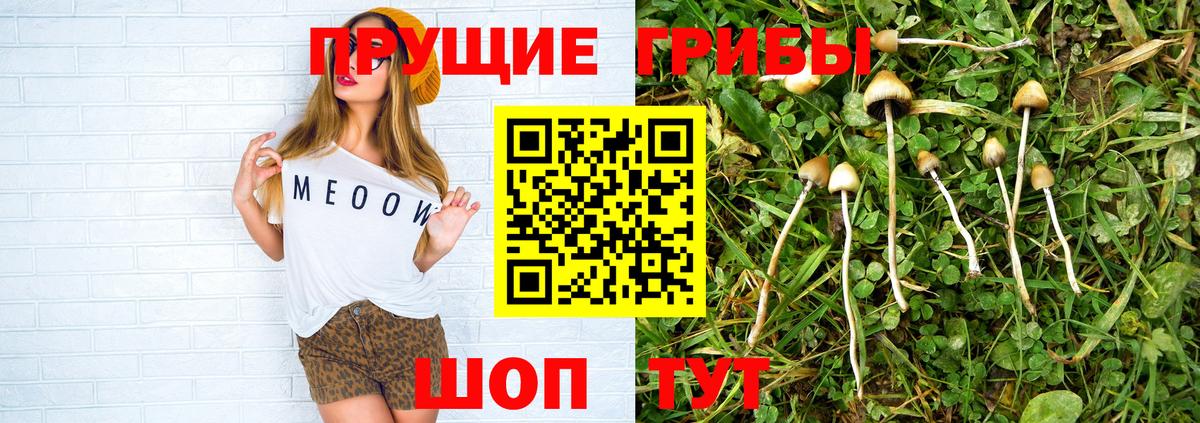 Псилоцибиновые грибы прущие грибы  купить закладку  Вход с VPN  Зима  Галлюциногенные грибы Magic Shrooms 
