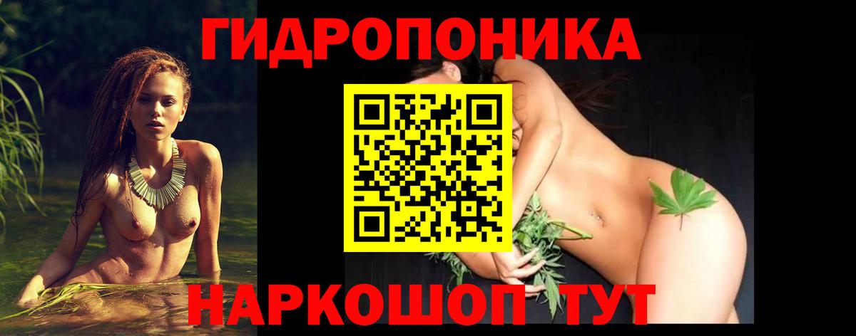 Конопля план  Бошки Шишки OG Kush  Зима  Вход с VPN  Шишки марихуана AK-47  Марихуана сатива 